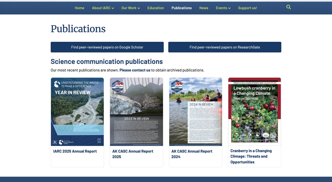 A published document library showing year-stamped annual reports, with only the most recent versions on display to visitors